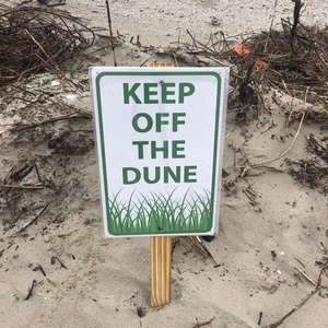 Team Page: Sand Dunes